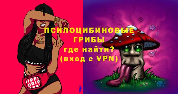 стафф Алексин