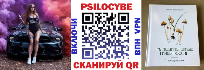 МЕГА ONION  наркотики  Чайковский  Галлюциногенные грибы Cubensis 
